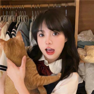 国际啄木鸟